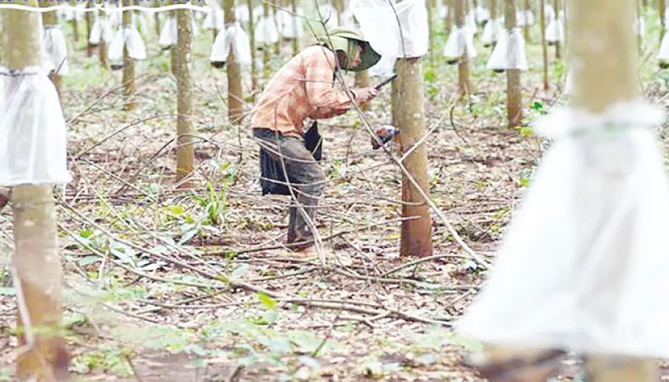 Thai farmers tap into sustainable rubber industry