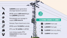 Will large power plants meet the summer demand?