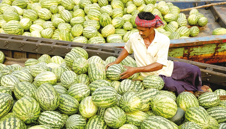 Watermelon starts arriving in capital, but prices too high