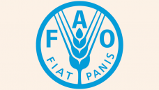 FAO launches ‘MBWin’ to boost farmers’ access to finance