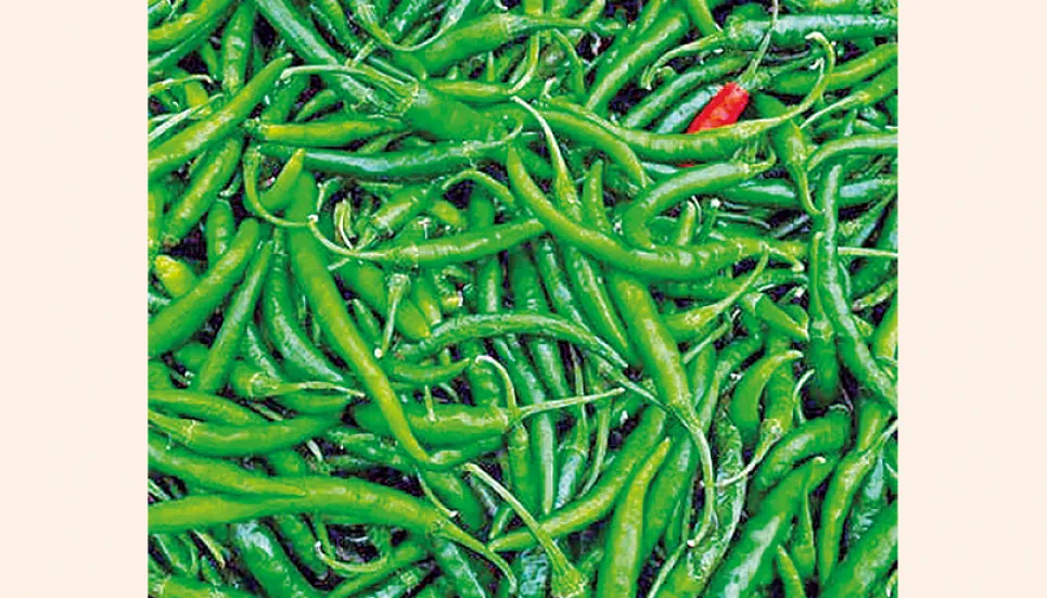 Green chilli prices take a plunge in Hili