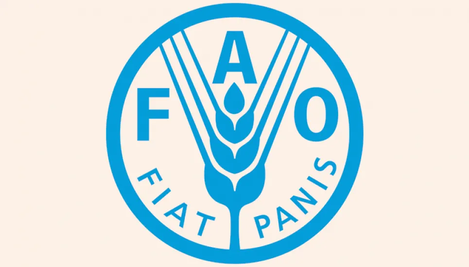 FAO launches ‘MBWin’ to boost farmers’ access to finance