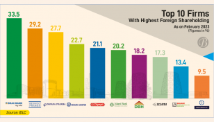 Foreign investors park in pharma stocks