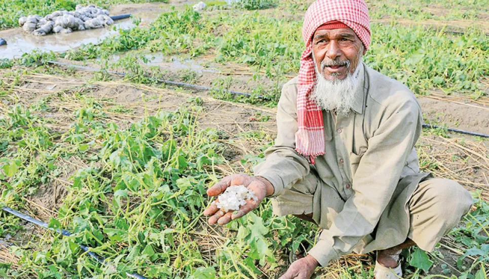 Unseasonal rains and hail damage crops in India