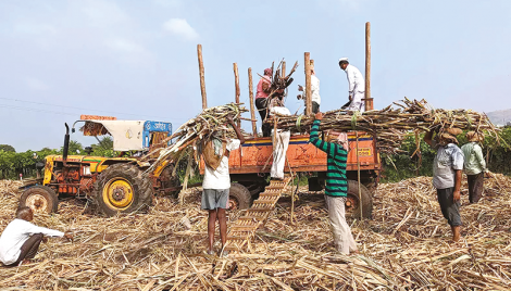 India’s Maharashtra to produce less sugar as mills close early