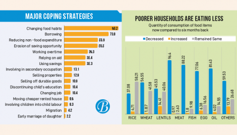 90% poor cut meat, fish, egg intakes: SANEM