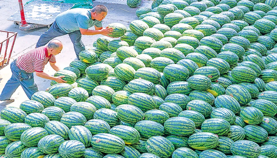 Watermelon Diplomacy with Malaysia