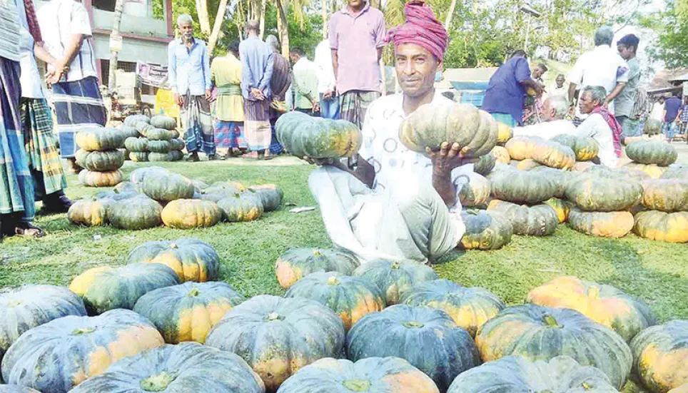 Intercropping brings financial stability to Barishal farmers