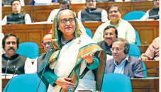 PM finds Prothom Alo enemy of AL, democracy, and people 