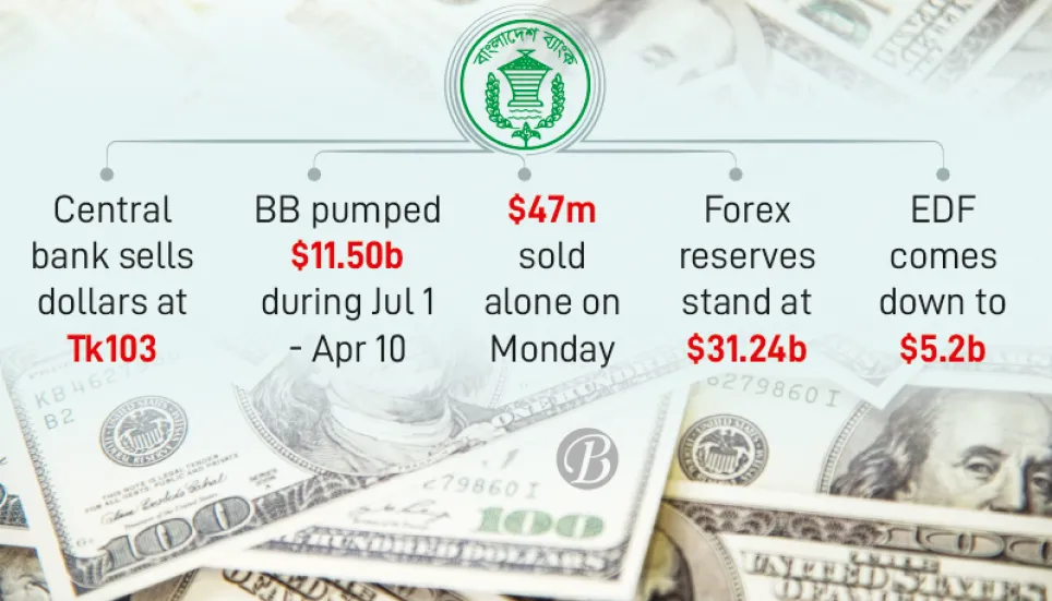 $11b injected to cool down forex market