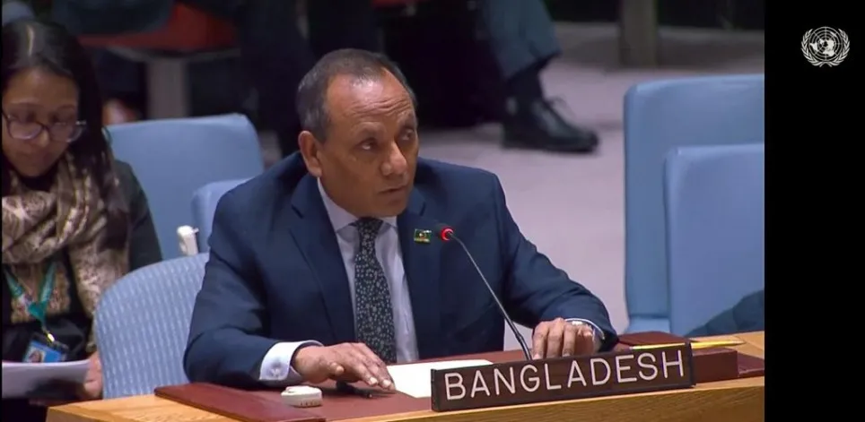 ‘UNSC a mute witness to Rohingya situation’