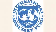 Pension, interest on savings tools cannot be included: IMF