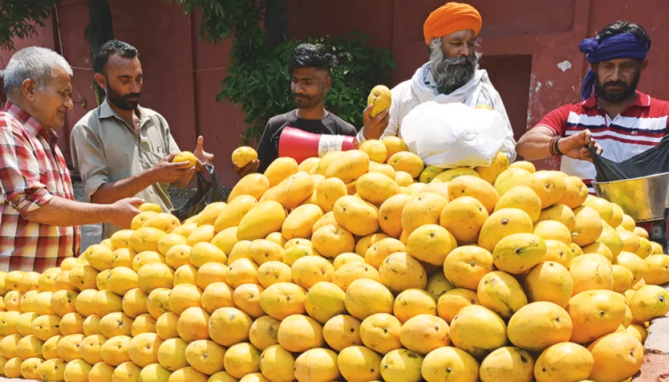 World food prices rise for first time in a year