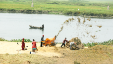 Paddy, rice prices rise by Tk 3, Tk 4 per kg