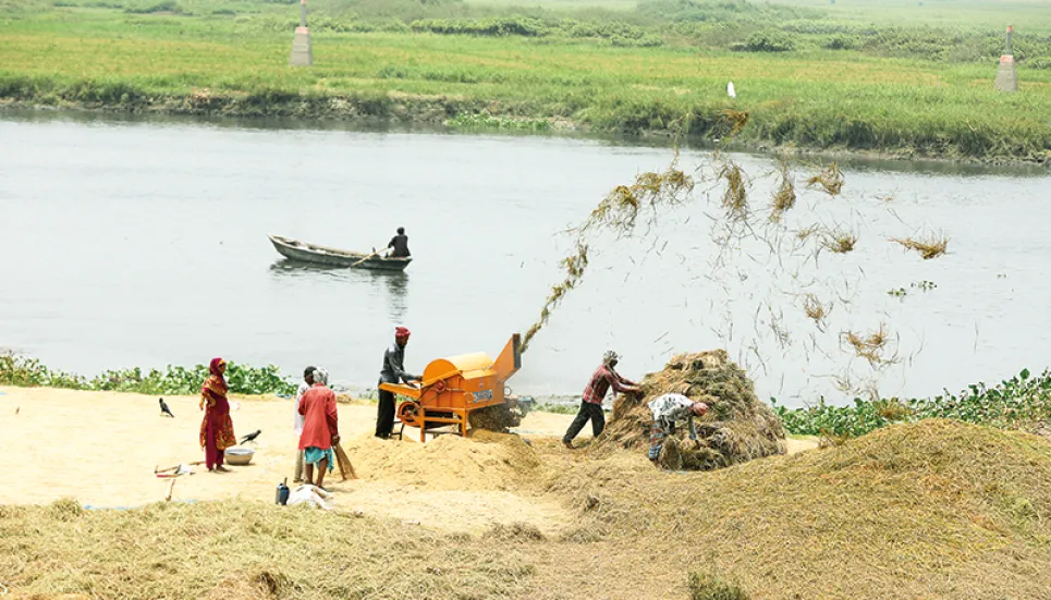 Paddy, rice prices rise by Tk 3, Tk 4 per kg