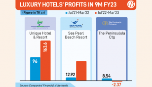 With tourism boom, luxury hotels make dazzling profits