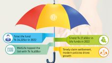 5 insurers hold 81% of life funds 