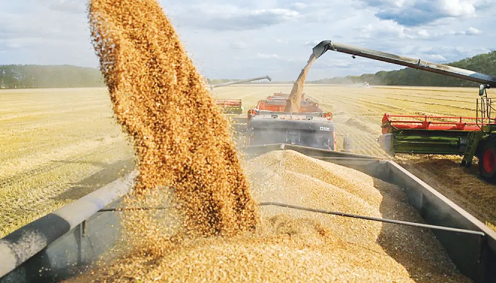 Russian grain exports to remain high: Putin