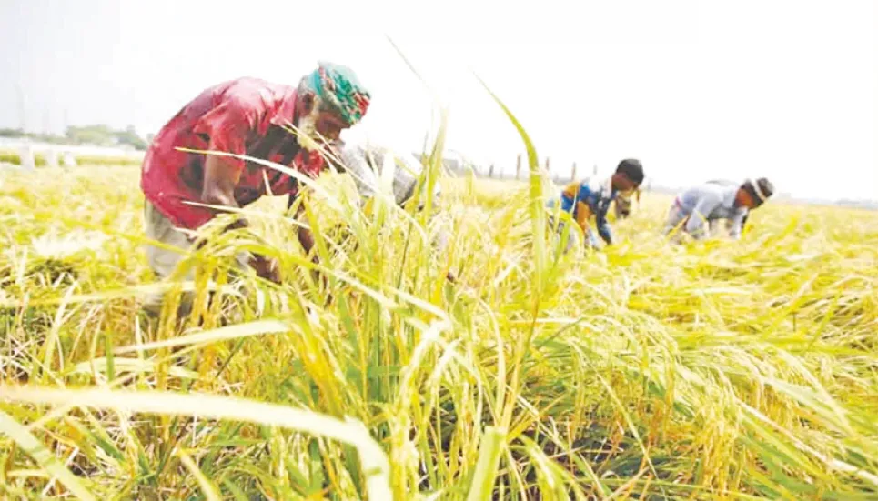 Farmers facing higher costs due to anomalies