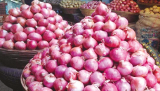 Import news cuts onion prices at Khatunganj 