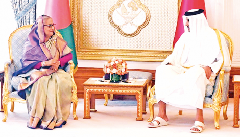 PM meets Amir of Qatar