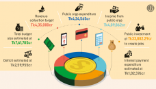 Visionary budget to focus on ‘Smart Bangladesh’