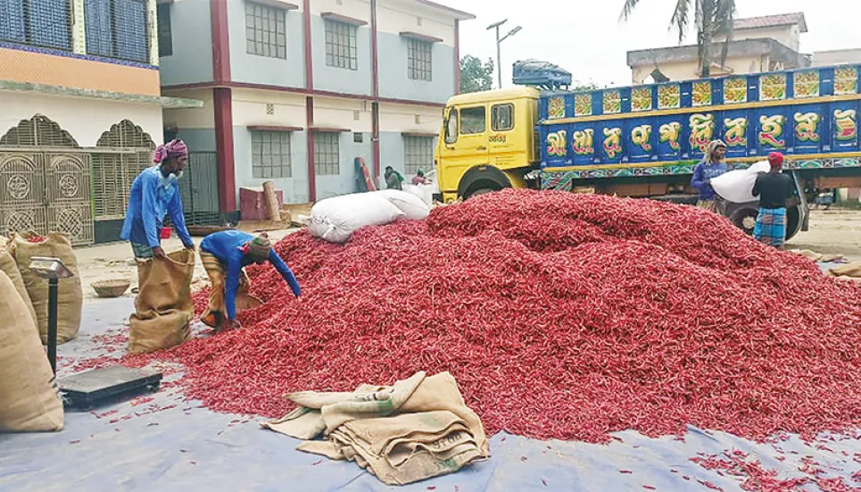 Mollarhat traders sell Tk15cr chilli a week