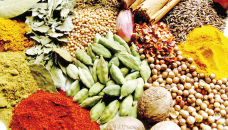 Syndicate active in spices market: DNCRP