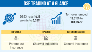 DSE turnover hits 7-month high