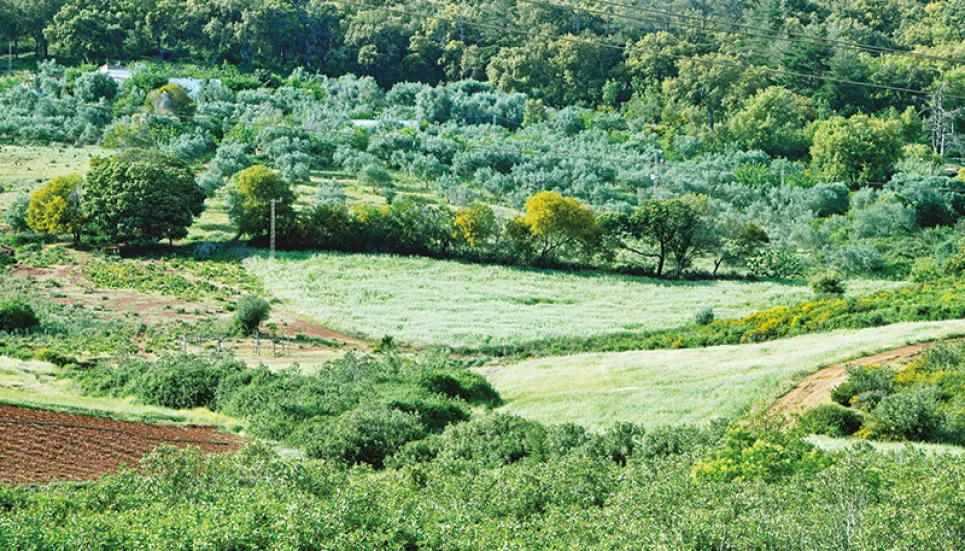 Planet-friendly farming takes root in drought-hit Tunisia