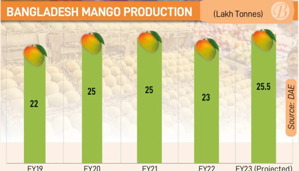 DAE predicts record mango production in FY23
