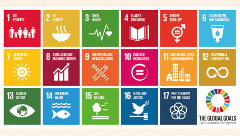 Bangladesh, GDI and SDG goals