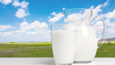 Parliamentary watchdog finds private cos supply poor quality milk 