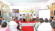 Transition from fossil fuels to renewable energy must: Speakers