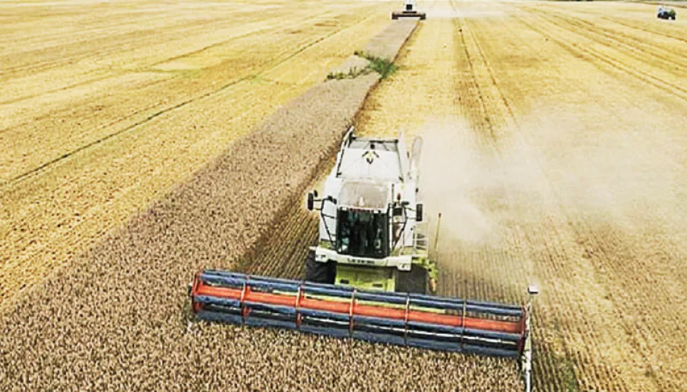EU restrictions on Ukraine grain imports extended to September 15