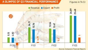 Gemini Sea’s revenue, profits shoot up on growing shrimp demand