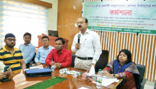 BRRI releases 10 high-yielding Aman paddy varieties for Rajshahi