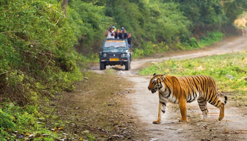 Corbett National Park