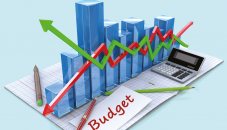 Divergent policy options of budget 