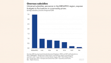 Middle East, North Africa vulnerable to rising fiscal risks