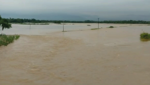 Short-term flood likely in Sylhet, Sunamganj as rivers keep swelling