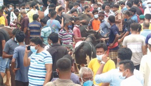 BB asks banks to set up booths in cattle markets