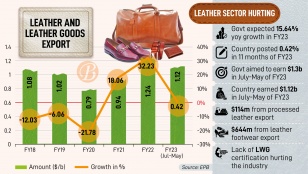 Western economic crisis hits leather sector hard