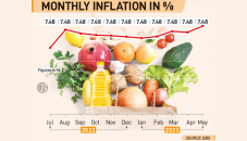 Bringing down inflation to 6% to be miracle: Mannan