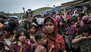 Rohingya genocide case at ICJ: US shares info with The Gambia