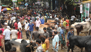 No cattle market at Aftabnagar this year