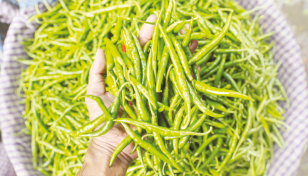 Green chilli price hits record high of Tk600 per kg