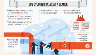 LPG cylinder sales go up due to gas supply crunch