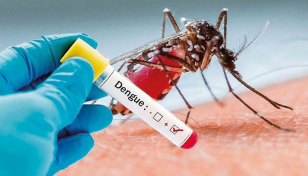 1 dies of dengue, 148 hospitalised in 24hrs
