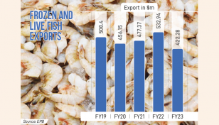 Fish exports plunge by 21% in FY23